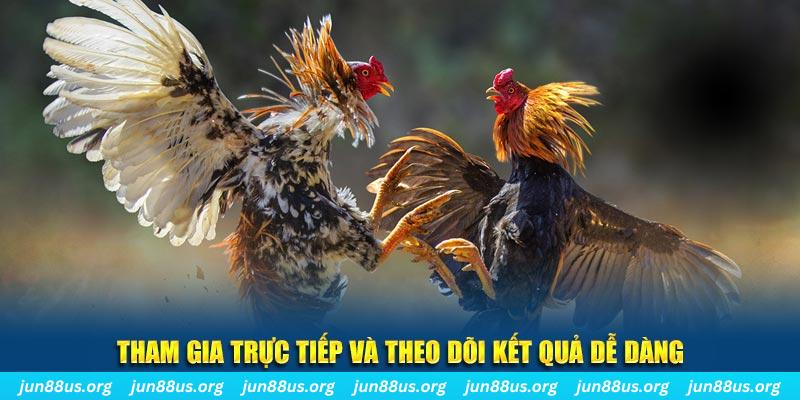 Xem Đá Gà Thomo Trực Tiếp Tại Jun88 – Cập Nhật Liên Tục 8 Tham gia trực tiếp và theo dõi kết quả dễ dàng