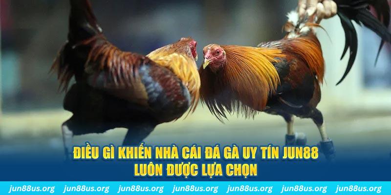 Jun88 - Nhà Cái Đá Gà Uy Tín, Chất Lượng Top 1 Việt Nam 2024 6 Điều gì khiến nhà cái đá gà uy tín Jun88 luôn được lựa chọn