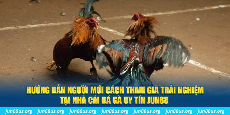 Jun88 - Nhà Cái Đá Gà Uy Tín, Chất Lượng Top 1 Việt Nam 2024 8 Hướng dẫn người mới cách tham gia trải nghiệm tại nhà cái đá gà uy tín Jun88