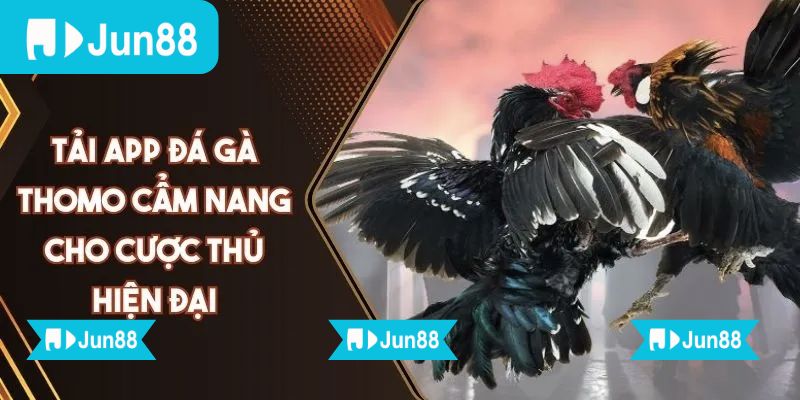 App đá gà trực tiếp Jun88 chất lượng HD hỗ trợ đặt cược dễ dàng 5 Chỉ cần vài thao tác đơn giản là có thể theo dõi mọi trận gà ngay trên điện thoại